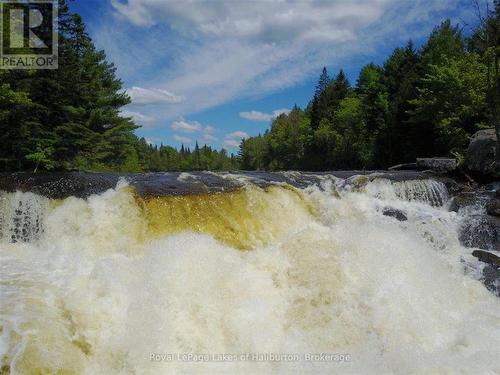 1880 Boldts Lane, Minden Hills (Snowdon), ON - Outdoor With View