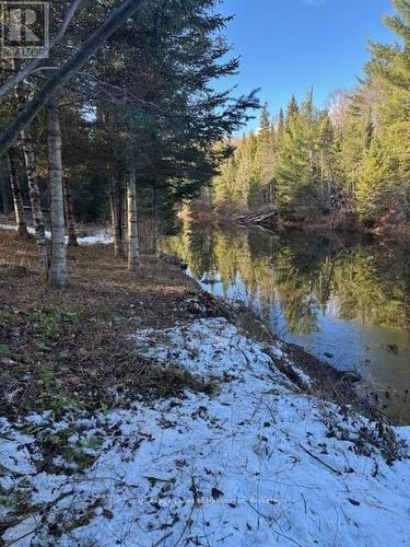 1880 Boldts Lane, Minden Hills (Snowdon), ON - Outdoor With View