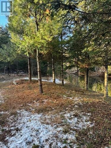 1880 Boldts Lane, Minden Hills (Snowdon), ON - Outdoor With View