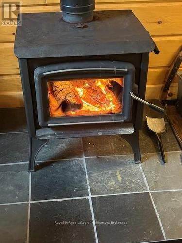 1880 Boldts Lane, Minden Hills (Snowdon), ON - Indoor Photo Showing Other Room With Fireplace