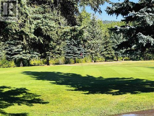 4521 E 16 Highway, Houston, BC 