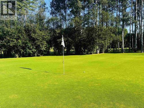 4521 E 16 Highway, Houston, BC 