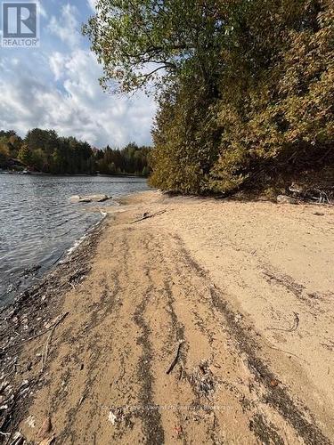 25 Fire Route 330 Drive, Trent Lakes, ON 