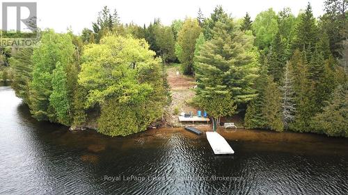 25 Fire Route 330 Drive, Trent Lakes, ON 