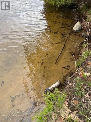 25 Fire Route 330 Drive, Trent Lakes, ON 