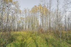 46120 43E Road  Ste Anne Rm, MB R0E 1S0