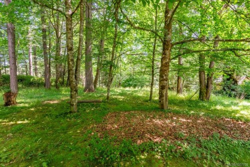 3951 Forbidden Plateau Rd, Courtenay, BC 