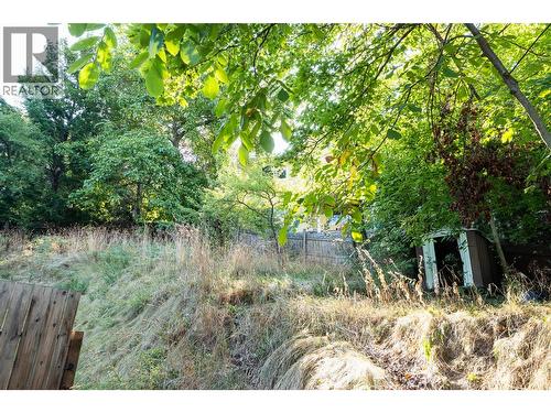 320 Chatham Street, Nelson, BC - Outdoor