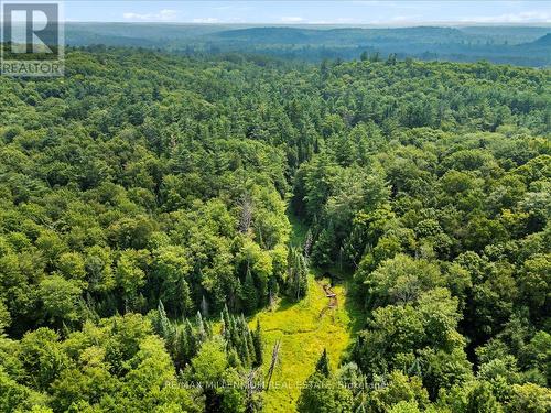 118 - 3529 Highway Highway E, Bracebridge, ON - Outdoor With View