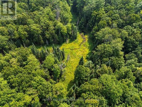 118 - 3529 Highway Highway E, Bracebridge, ON - Outdoor