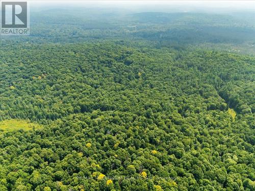 118 - 3529 Highway Highway E, Bracebridge, ON - Outdoor