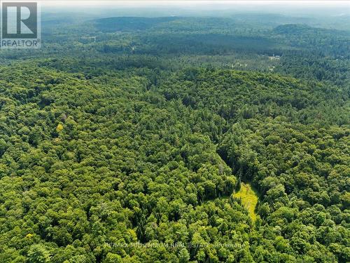 118 - 3529 Highway Highway E, Bracebridge, ON - Outdoor With View