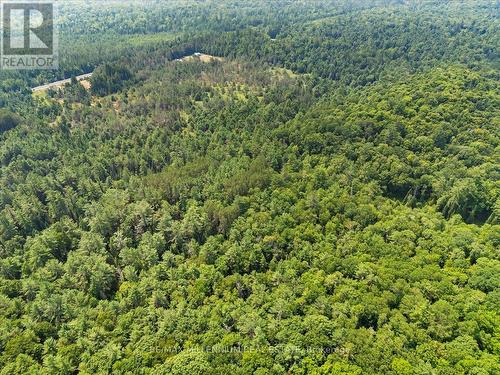 118 - 3529 Highway Highway E, Bracebridge, ON - Outdoor With View