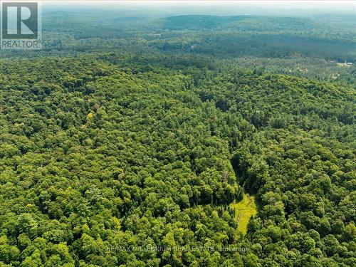 118 - 3529 Highway Highway E, Bracebridge, ON 