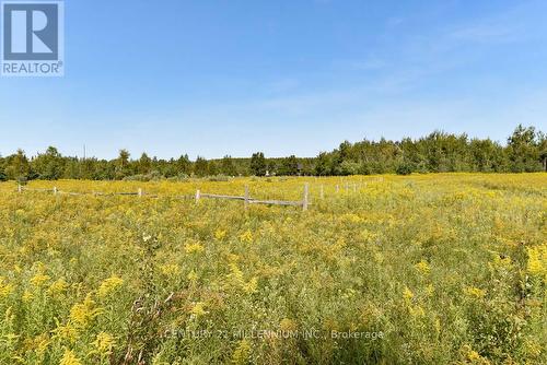 387091 20Th Side Road, Mono, ON - Outdoor With View