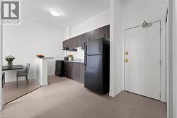 27 BRIDGE Street Unit# 305  Brantford, ON N3T 3C9