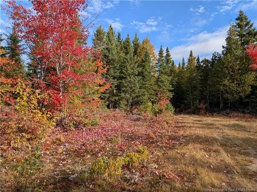 00 Highway 11, Redmondville, NB 