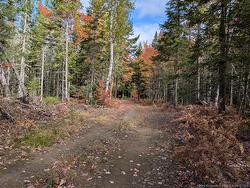 00 Highway 11  Redmondville, NB E1N 5C5