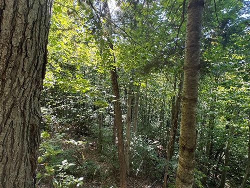 Terre/Terrain - Route 329, Gore, QC 