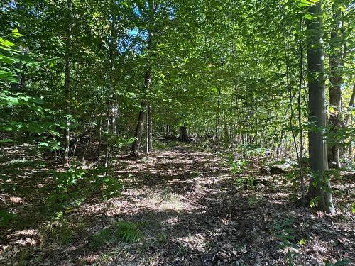 Terre/Terrain - Route 329, Gore, QC 