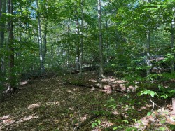 Terre/Terrain - 