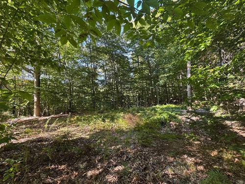 Terre/Terrain - Route 329, Gore, QC 