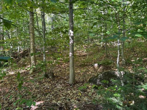 Terre/Terrain - Route 329, Gore, QC 