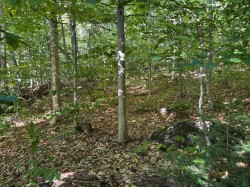 Terre/Terrain - 