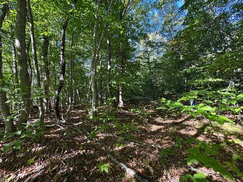 Terre/Terrain - Route 329, Gore, QC 