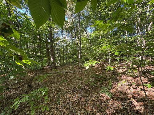 Terre/Terrain - Route 329, Gore, QC 