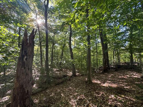 Terre/Terrain - Route 329, Gore, QC 