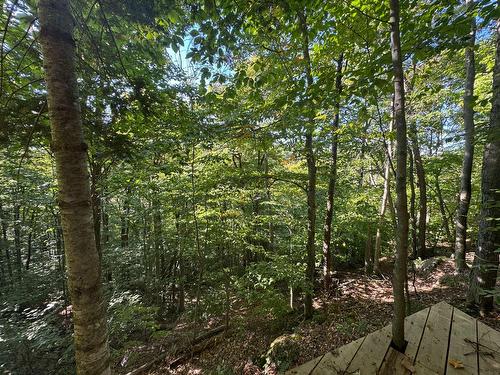 Terre/Terrain - Route 329, Gore, QC 