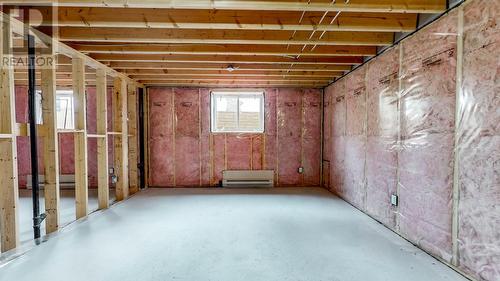 19 Wiltshire Avenue, Paradise, NL - Indoor Photo Showing Basement