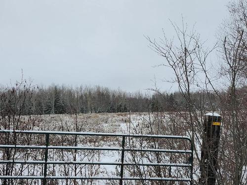 Miller Road, Pugwash, NS 