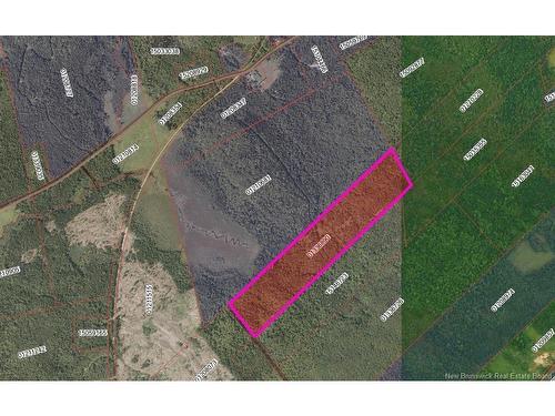 000 Meadow Rd, Rollingdam, NB 