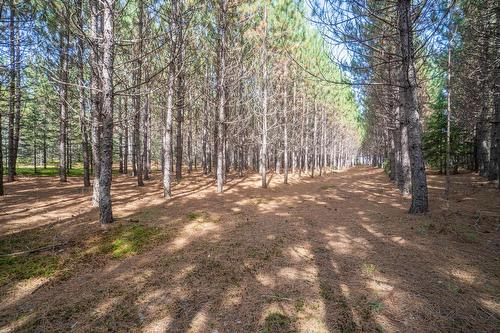 Land/Lot - Mtée Kavanagh, Mont-Tremblant, QC 
