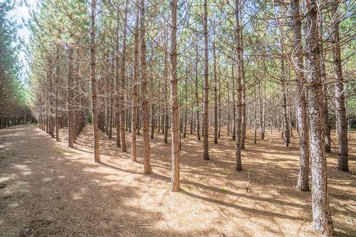 Land/Lot - Mtée Kavanagh, Mont-Tremblant, QC 