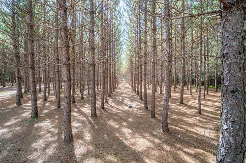Land/Lot - Mtée Kavanagh, Mont-Tremblant, QC 