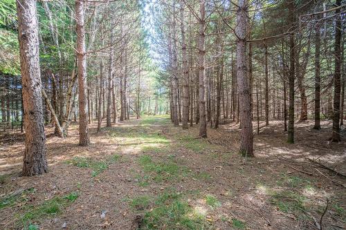Land/Lot - Mtée Kavanagh, Mont-Tremblant, QC 