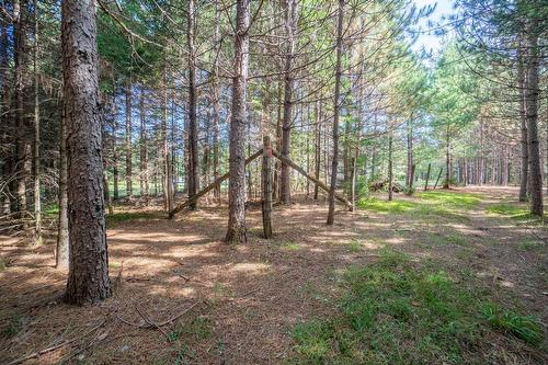 Land/Lot - Mtée Kavanagh, Mont-Tremblant, QC 