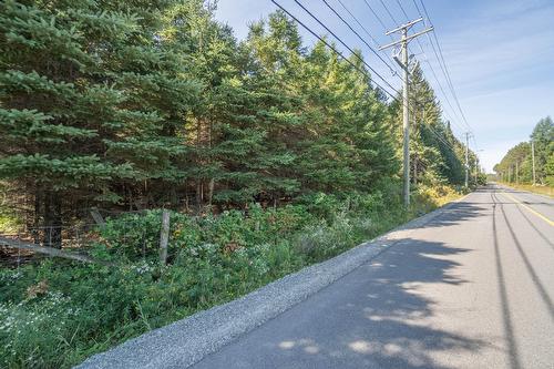 Street - Mtée Kavanagh, Mont-Tremblant, QC 