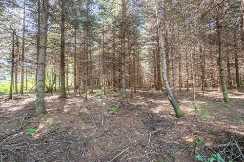 Land/Lot - Mtée Kavanagh, Mont-Tremblant, QC 