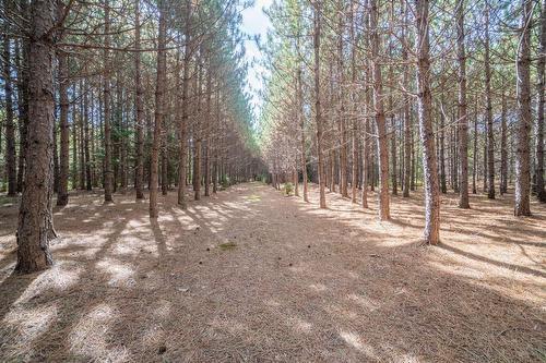 Land/Lot - Mtée Kavanagh, Mont-Tremblant, QC 