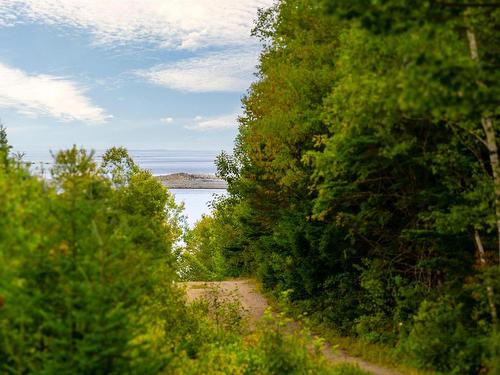 56 Evergreen Hill, Bayswater, NS 