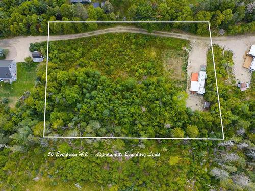 56 Evergreen Hill, Bayswater, NS 