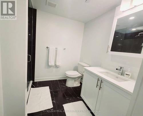 1009 - 340 Queen Street, Ottawa, ON - Indoor Photo Showing Bathroom