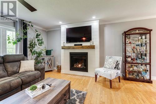 355 Roaches Line, Roaches Line, NL - Indoor Photo Showing Living Room With Fireplace