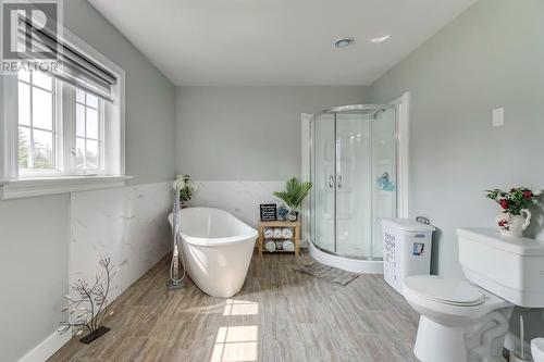 355 Roaches Line, Roaches Line, NL - Indoor Photo Showing Bathroom