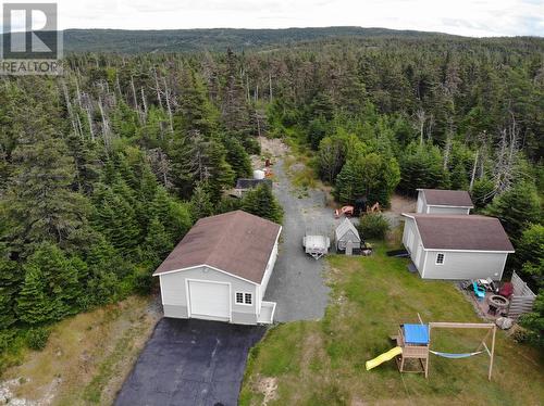 355 Roaches Line, Roaches Line, NL - Outdoor With View