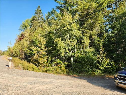 - Route 101, Clarendon, NB 